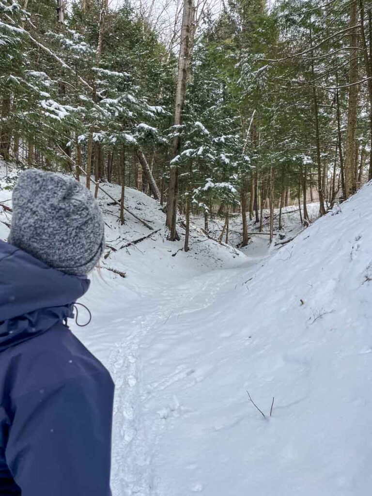 Empreintes de chevreuils dans la neige profonde - Deer tracks in deep snow